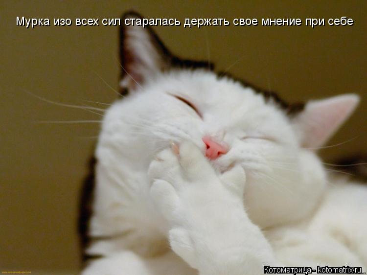 Мурка изо всех сил старалась держать свое мнение при себе... Котоматрица: Мурка изо всех сил старалась держать свое мнение при себе