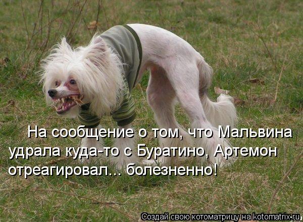 На сообщение о том, что Мальвина удрала куда-то с Буратино, Артемон отреагировал... болезненно!... Котоматрица: На сообщение о том, что Мальвина удрала куда-то с Буратино, Артемон отреагировал... болезненно!