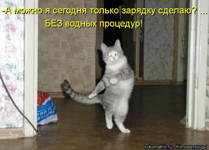 -А можно я сегодня только зарядку сделаю? ... БЕЗ водных процедур!... Котоматрица: -А можно я сегодня только зарядку сделаю? ... БЕЗ водных процедур!