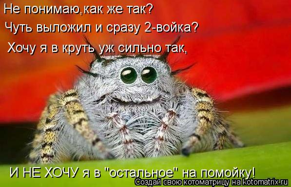 Не понимаю,как же так? Чуть выложил и сразу 2-войка? Хочу я в круть уж сильно так, И НЕ ХОЧУ я в "ост... Котоматрица: Не понимаю,как же так? Чуть выложил и сразу 2-войка? Хочу я в круть уж сильно так, И НЕ ХОЧУ я в "остальное" на помойку!