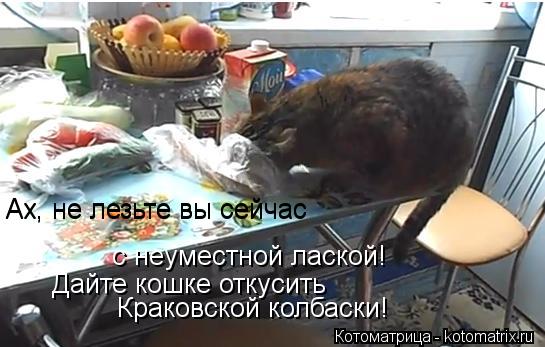 Ах, не лезьте вы сейчас Ах, не лезьте вы сейчас с неуместной лаской! Дайте кошке откусить Краковской ... Котоматрица: Ах, не лезьте вы сейчас Ах, не лезьте вы сейчас с неуместной лаской! Дайте кошке откусить Краковской колбаски!