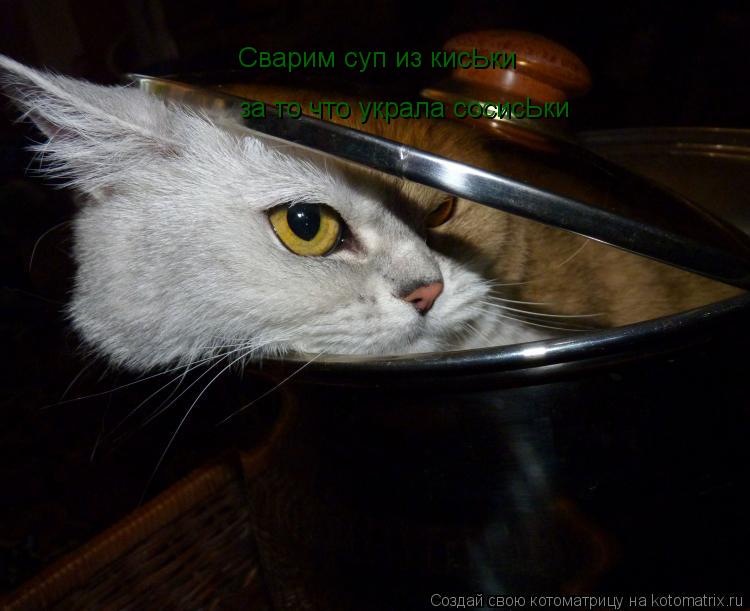 Сварим суп из кисЬки за то что украла сосисЬки... Котоматрица: Сварим суп из кисЬки за то что украла сосисЬки
