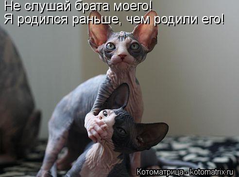 Не слушай брата моего! Я родился раньше, чем родили его!... Котоматрица: Не слушай брата моего! Я родился раньше, чем родили его!