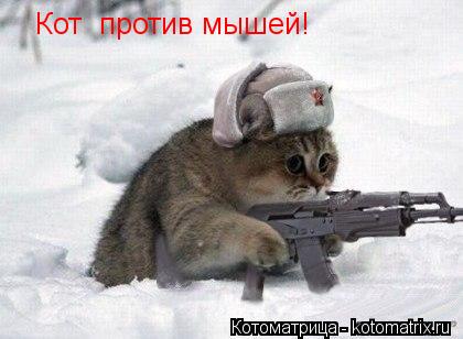 Кот против мышей!... Котоматрица: Кот против мышей!