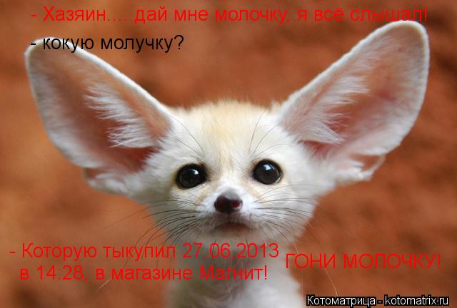 - Хазяин.... дай мне молочку, я всё слышал! - кокую молучку? - Которую тыкупил 27.06.2013 в 14:28, в ... Котоматрица: - Хазяин.... дай мне молочку, я всё слышал! - кокую молучку? - Которую тыкупил 27.06.2013 в 14:28, в магазине Магнит! ГОНИ МОЛОЧКУ!