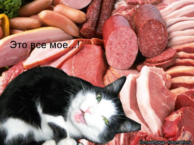 Это все мое...!... Котоматрица: Это все мое...!