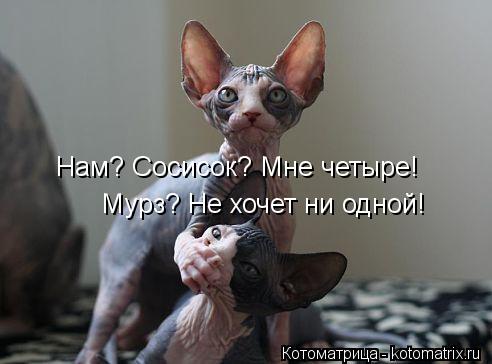 Нам? Сосисок? Мне четыре! Мурз? Не хочет ни одной!... Котоматрица: Нам? Сосисок? Мне четыре! Мурз? Не хочет ни одной!