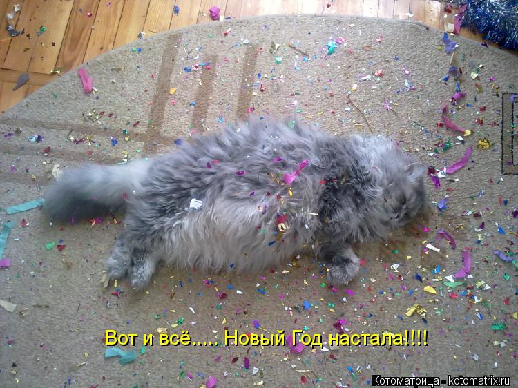 Вот и всё..... Новый Год настала!!!!... Котоматрица: Вот и всё..... Новый Год настала!!!!