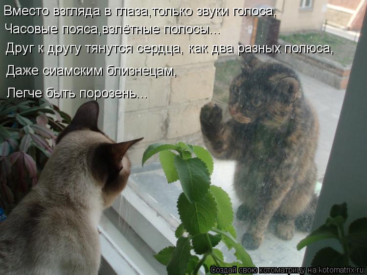 Вместо взгляда в глаза,только звуки голоса, Часовые пояса,взлётные полосы... Друг к другу тянутся сер... Котоматрица: Вместо взгляда в глаза,только звуки голоса, Часовые пояса,взлётные полосы... Друг к другу тянутся сердца, как два разных полюса, Даже сиамски
