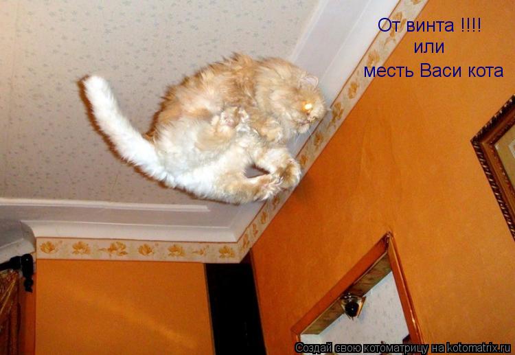 От винта !!!! или месть Васи кота... Котоматрица: От винта !!!! или месть Васи кота