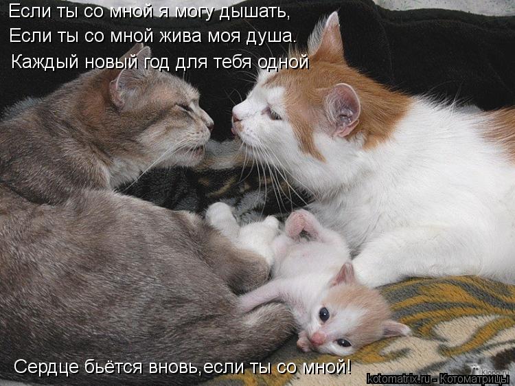 Если ты со мной я могу дышать, Если ты со мной жива моя душа. Каждый новый год для тебя одной Сердце ... Котоматрица: Если ты со мной я могу дышать, Если ты со мной жива моя душа. Каждый новый год для тебя одной Сердце бьётся вновь,если ты со мной!