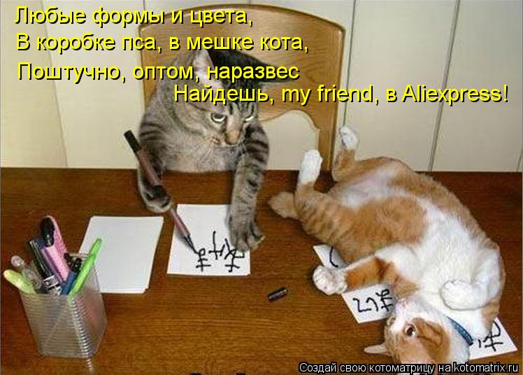 Любые формы и цвета, В коробке пса, в мешке кота, Найдешь, my friend, в Aliexpress! Поштучно, оптом, ... Котоматрица: Любые формы и цвета, В коробке пса, в мешке кота, Найдешь, my friend, в Aliexpress! Поштучно, оптом, наразвес Поштучно, оптом, наразвес