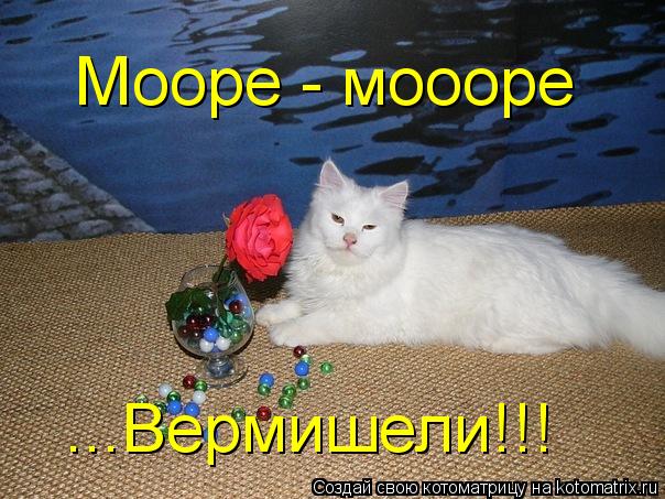 Мооре - моооре ...Вермишели!!!... Котоматрица: Мооре - моооре ...Вермишели!!!