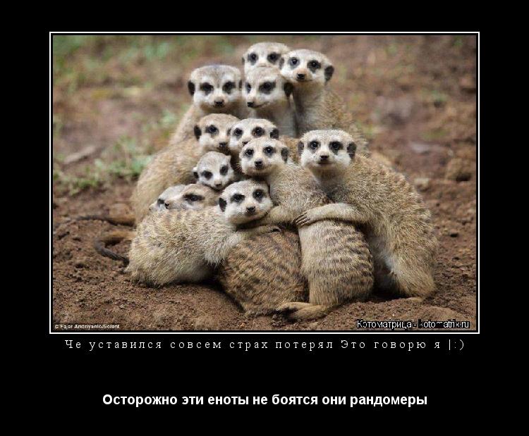 Че уставился совсем страх потерял Это говорю я |:) Осторожно эти еноты не боятся они рандомеры... Котоматрица: Че уставился совсем страх потерял Это говорю я |:) Осторожно эти еноты не боятся они рандомеры
