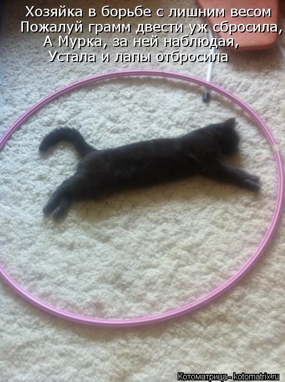 Хозяйка в борьбе с лишним весом Пожалуй грамм двести уж сбросила, А Мурка, за ней наблюдая, Устала и ... Котоматрица: Хозяйка в борьбе с лишним весом Пожалуй грамм двести уж сбросила, А Мурка, за ней наблюдая, Устала и лапы отбросила