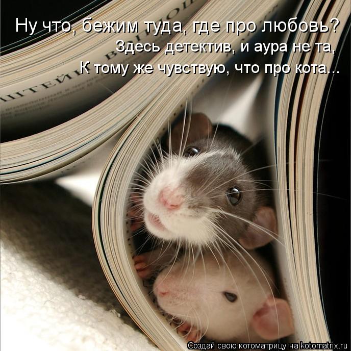 Котоматрица: Ну что, бежим туда, где про любовь? Здесь детектив, и аура не та, К тому же чувствую, что про кота...