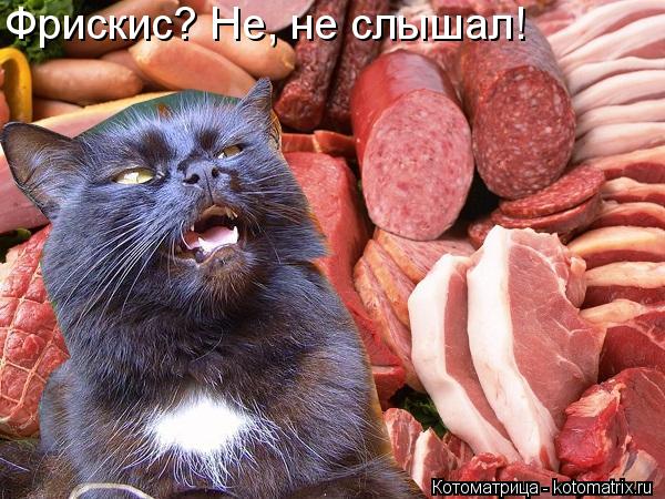 Фрискис? Не, не слышал!... Котоматрица: Фрискис? Не, не слышал!