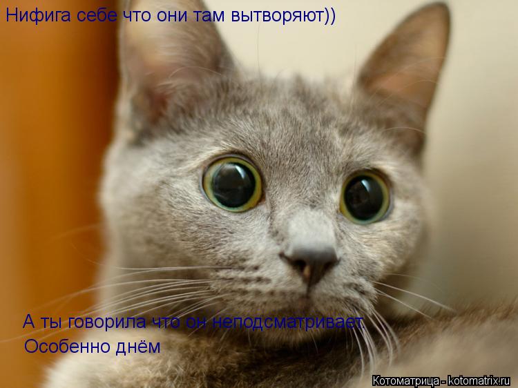 Нифига себе что они там вытворяют)) А ты говорила что он неподсматривает. Особенно днём... Котоматрица: Нифига себе что они там вытворяют)) А ты говорила что он неподсматривает. Особенно днём