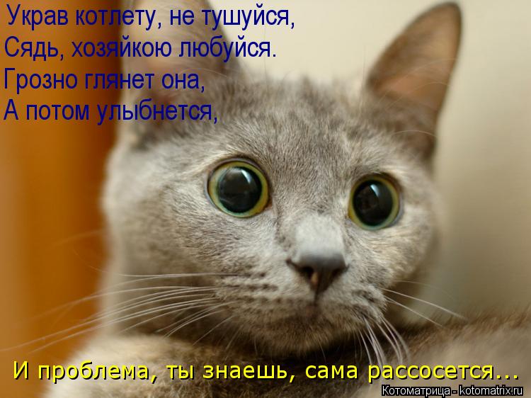 Украв котлету, не тушуйся, Сядь, хозяйкою любуйся. Грозно глянет она, А потом улыбнется, И проблема, ... Котоматрица: Украв котлету, не тушуйся, Сядь, хозяйкою любуйся. Грозно глянет она, А потом улыбнется, И проблема, ты знаешь, сама рассосется...