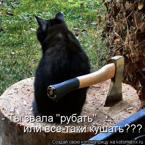 Котоматрица: - Ты звала "рубать"  или все-таки кушать???