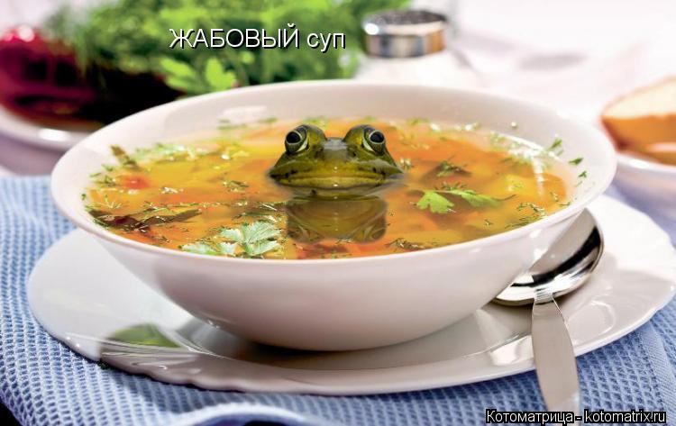 ЖАБОВЫЙ суп... Котоматрица: ЖАБОВЫЙ суп