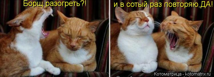 Борщ разогреть?! и в сотый раз повторяю,ДА!... Котоматрица: Борщ разогреть?! и в сотый раз повторяю,ДА!