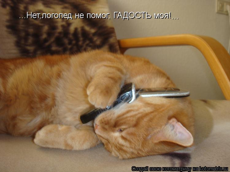 ...Нет,логопед не помог, ГАДОСТЬ моя! ...... Котоматрица: ...Нет,логопед не помог, ГАДОСТЬ моя! ...