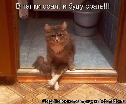 В тапки срал, и буду срать!!!... Котоматрица: В тапки срал, и буду срать!!!