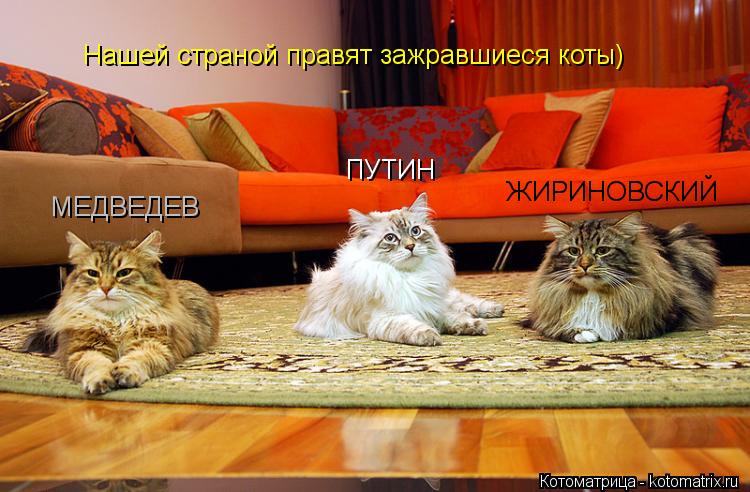 ПУТИН МЕДВЕДЕВ ЖИРИНОВСКИЙ Нашей страной правят зажравшиеся коты)... Котоматрица: ПУТИН МЕДВЕДЕВ ЖИРИНОВСКИЙ Нашей страной правят зажравшиеся коты)