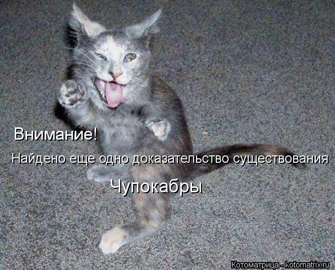 Найдено еще одно доказательство существования Чупокабры Внимание!... Котоматрица: Найдено еще одно доказательство существования Чупокабры Внимание!