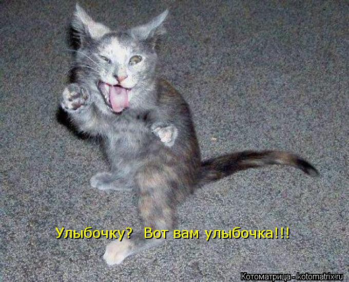 Улыбочку? Вот вам улыбочка!!!... Котоматрица: Улыбочку? Вот вам улыбочка!!!