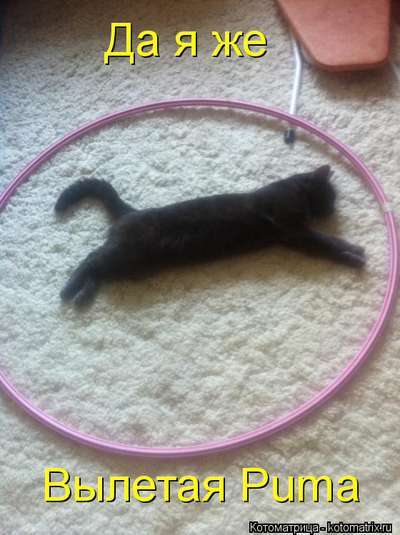 Да я же Вылетая Puma... Котоматрица: Да я же Вылетая Puma