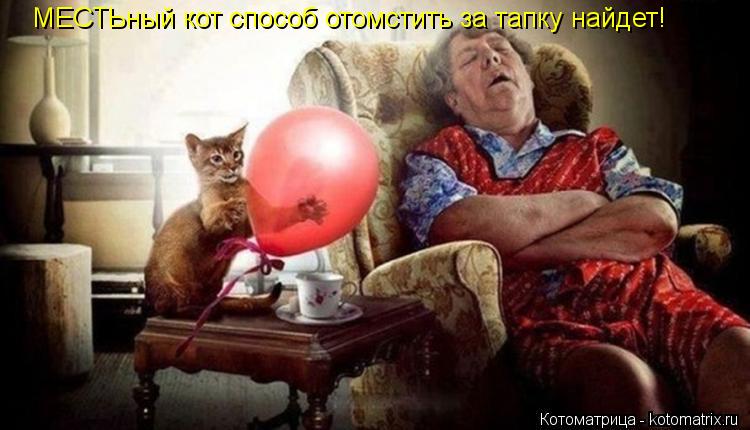 МЕСТЬный кот способ отомстить за тапку найдет!... Котоматрица: МЕСТЬный кот способ отомстить за тапку найдет!