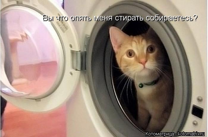 Вы что опять меня стирать собираетесь?... Котоматрица: Вы что опять меня стирать собираетесь?