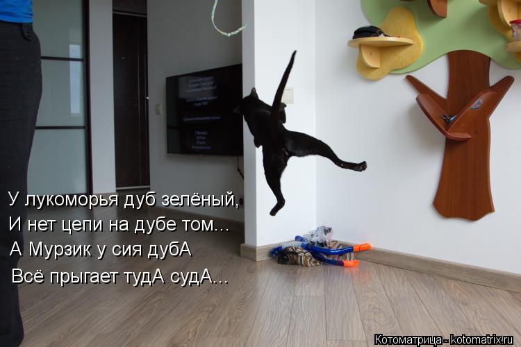 У лукоморья дуб зелёный, И нет цепи на дубе том... А Мурзик у сия дубА Всё прыгает тудА судА...... Котоматрица: У лукоморья дуб зелёный, И нет цепи на дубе том... А Мурзик у сия дубА Всё прыгает тудА судА...