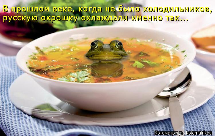 В прошлом веке, когда не было холодильников, русскую окрошку охлаждали именно так...... Котоматрица: В прошлом веке, когда не было холодильников, русскую окрошку охлаждали именно так...