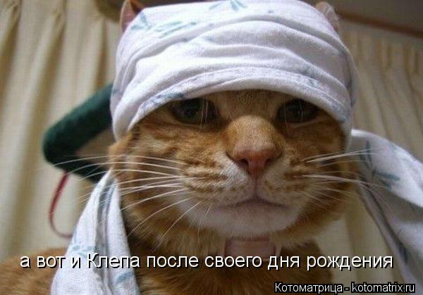а вот и Клепа после своего дня рождения... Котоматрица: а вот и Клепа после своего дня рождения