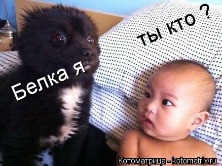 dcvxcxccx ты кто ? Белка я... Котоматрица: dcvxcxccx ты кто ? Белка я