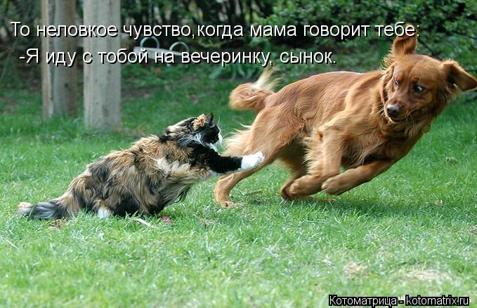 Котоматрица: -Я иду с тобой на вечеринку, сынок. То неловкое чувство,когда мама говорит тебе: