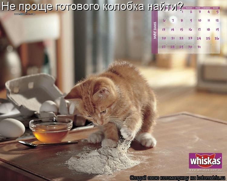 Не проще готового колобка найти?... Котоматрица: Не проще готового колобка найти?