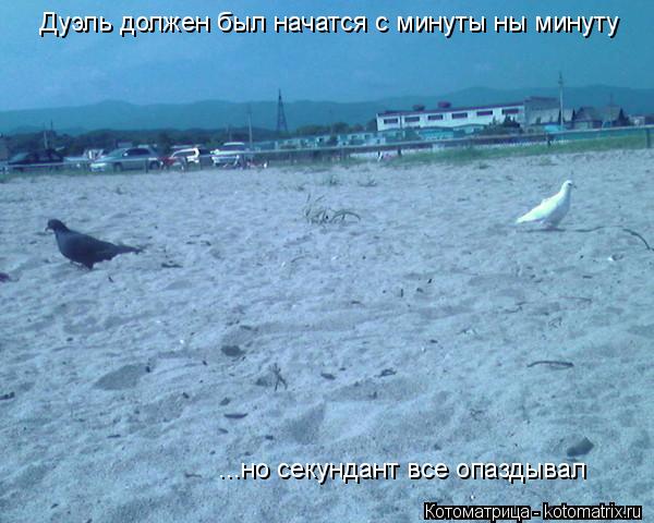 Дуэль должен был начатся с минуты ны минуту ...но секундант все опаздывал... Котоматрица: Дуэль должен был начатся с минуты ны минуту ...но секундант все опаздывал