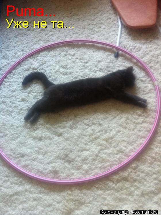 Puma... Уже не та...... Котоматрица: Puma... Уже не та...
