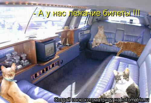 - А у нас лежачие билеты !!!... Котоматрица: - А у нас лежачие билеты !!!