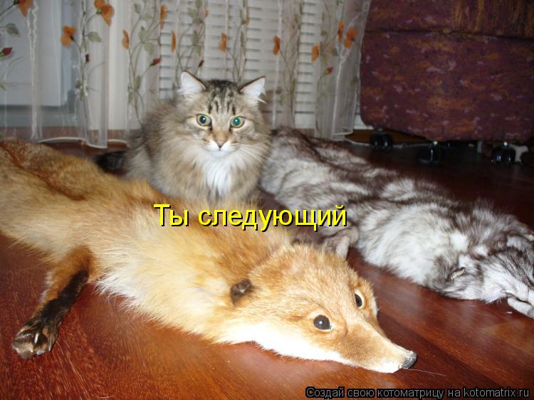 Котоматрица: Ты следующий