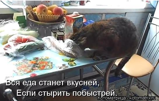 Вся еда станет вкусней, Если стырить побыстрей.... Котоматрица: Вся еда станет вкусней, Если стырить побыстрей.