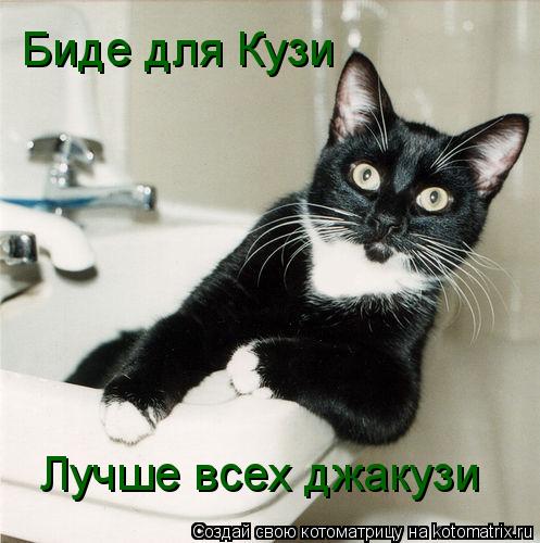 Биде для Кузи Лучше всех джакузи... Котоматрица: Биде для Кузи Лучше всех джакузи