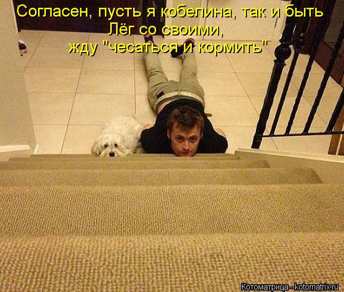 Согласен, пусть я кобелина, так и быть Лёг со своими, жду "чесаться и кормить"... Котоматрица: Согласен, пусть я кобелина, так и быть Лёг со своими, жду "чесаться и кормить"
