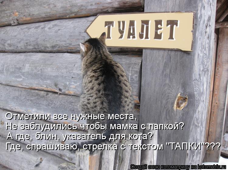 Отметили все нужные места, Не заблудились чтобы мамка с папкой? А где, блин, указатель для кота? Где,... Котоматрица: Отметили все нужные места, Не заблудились чтобы мамка с папкой? А где, блин, указатель для кота? Где, спрашиваю, стрелка с текстом "ТАПКИ"???