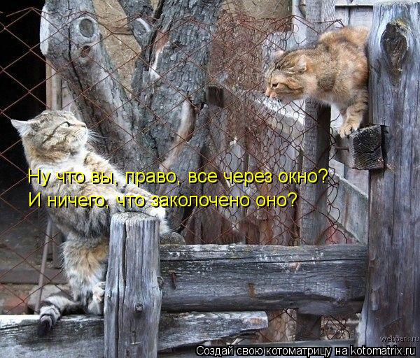Ну что вы, право, все через окно? И ничего, что заколочено оно?... Котоматрица: Ну что вы, право, все через окно? И ничего, что заколочено оно?