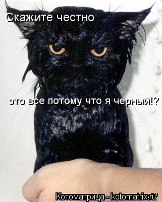 Скажите честно это все потому что я черный!?... Котоматрица: Скажите честно это все потому что я черный!?